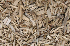 biomass boilers Knole